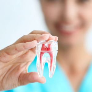 endodontia endodontia